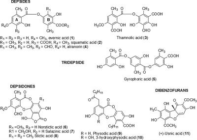 Lichen Polyphenolic Compounds for the Eradication of Candida albicans Biofilms